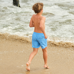 Blue Paneled Boardie