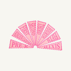 Picture Perfect Pennants - Pink