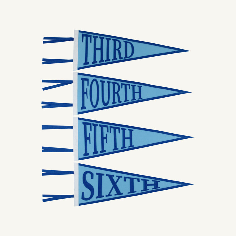 Picture Perfect Pennants - Blue
