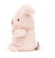 Little Pig