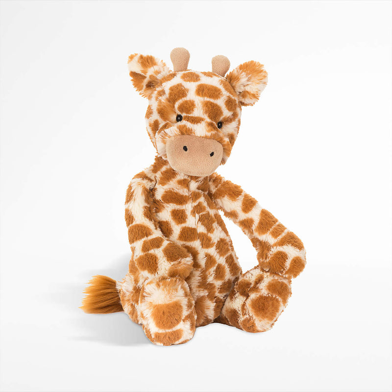 Medium Bashful Giraffe
