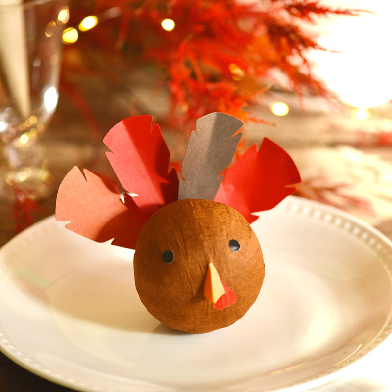 Turkey Surprise Ball