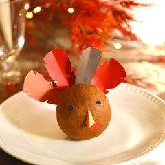 Turkey Surprise Ball