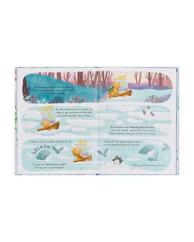 Bartholomew Bear & the Snow Giants Book