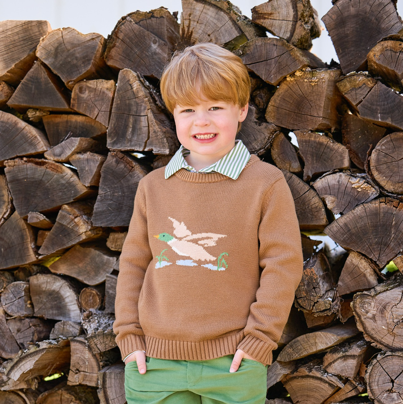 Watercress Stripe Long Sleeve Polo
