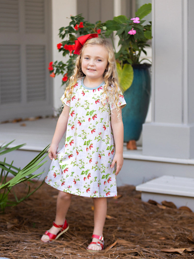 Mary Chase Strawberry Dress