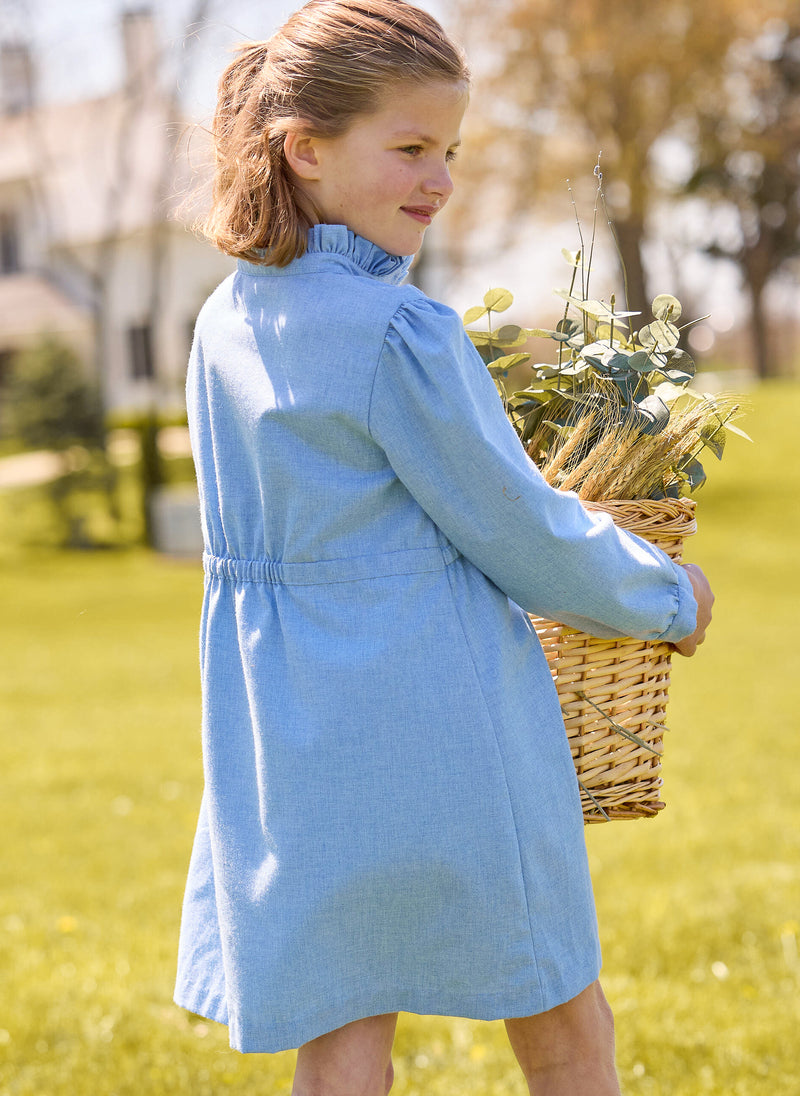 Ruffled Shirt Dress