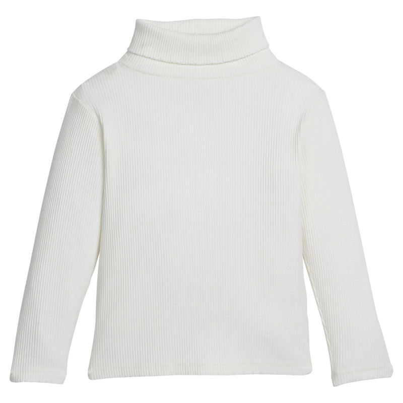 Solid Ribbed Turtleneck