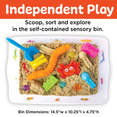 Sensory Activity Bin - Beach