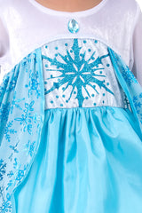 Ice Princess Costume