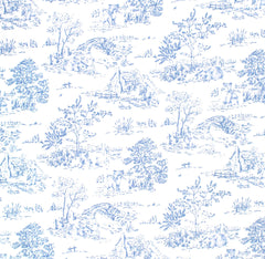 Blue Toile Footie